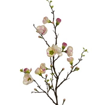 Blossom - Quince Petal Pink 24in - FSB478-PK/TT