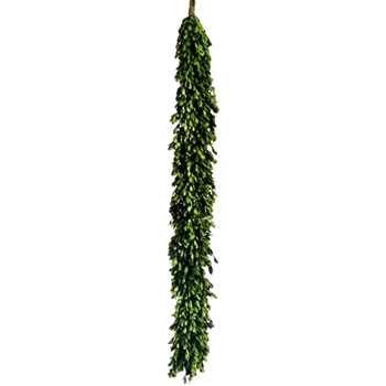 Garland - Preserved Boxwood 45IN - APS158-GR