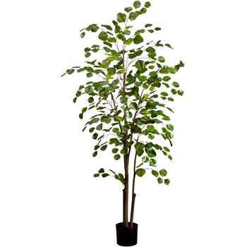 Eucalyptus - Tree - 5Ft - LTE605-GR