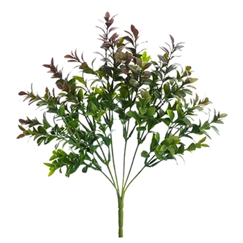 Boxwood Leaf - Pick Burgundy Tip 13IN - PBB882-GR/BU