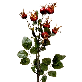 Rosehip - Berry Leafy Burgundy 23in - FSB843-BU