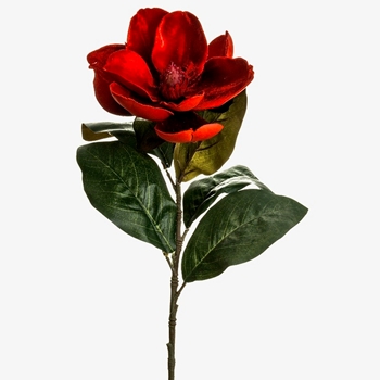Magnolia - Stem Ruby Red 29in - XFS263-RE