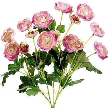 Ranunculus - Bouquet 12 Bloom Mauve 13in - FBR995-PK