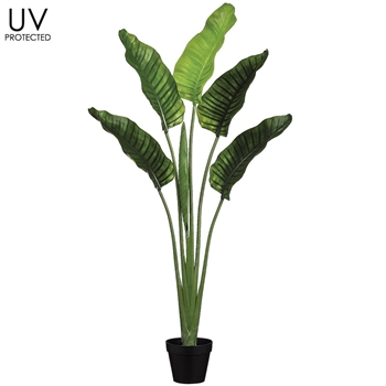 Palm - Paradise Tree 65In UV Protected - LPB005-GR
