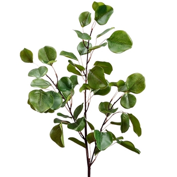 Eucalyptus - Leaf Branch 36IN Green - PSE603-GR