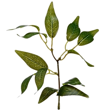 Clematis Leaf - Pick 8in Green