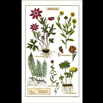 Tea Towel - Herbarium 19x32 100% Cotton - Italy