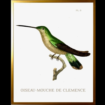 10W/12H Framed Glass Print Hummingbird #8 Left