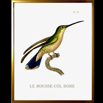 10W/12H Framed Glass Print Hummingbird #18 Right
