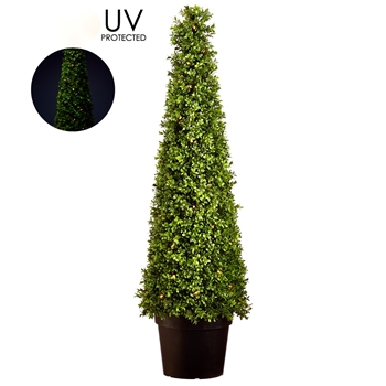 Boxwood - Topiary UV Protected 50 LED lights Battery 48H Cone - LPB254-GR