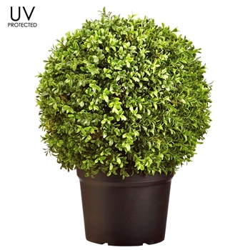 Boxwood - Topiary UV Protected 22H Globe - LPB300-GR