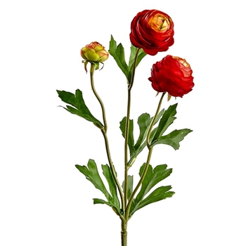 Ranunculus - Red 16in 2 Blossom 1 Bud - FSR319-RE/TT