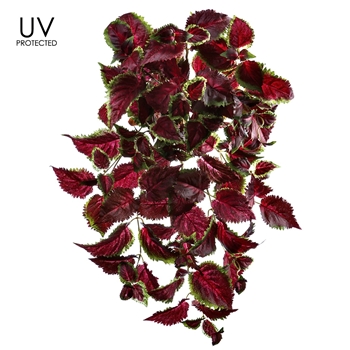 Coleus Leaf - UVP Hanging Plant Burgundy 25IN - PBC023-GR/CR