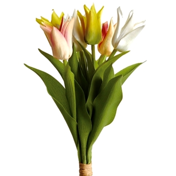 Tulip - Lily Cutting Bundle Multi 16IN - GP414