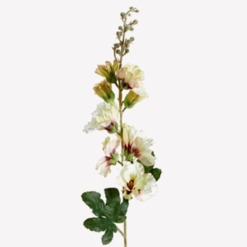 Hollyhock - Berry & Cream 36IN
