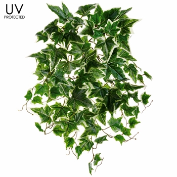 Ivy - UVP Variegated Hanging Plant 19IN - UV Protected - PBO031-GR/CR