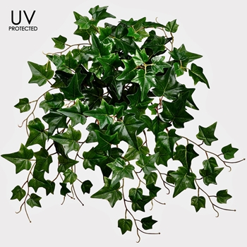 Ivy - UVP Dark Green Hanging Plant 20IN - UV Protected - PBI120-GR