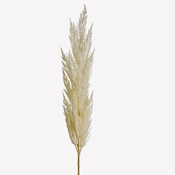 Pampas Grass - Flower Ivory 46in - FSP464-WH