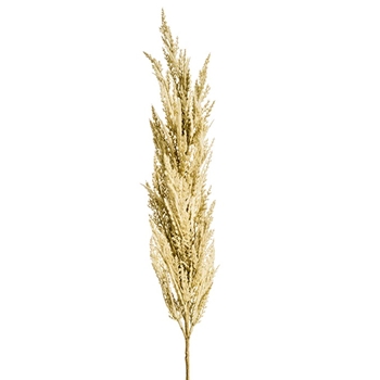 Pampas Grass - Flower Flax 46in - FSP464-CR
