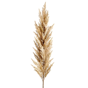 Pampas Grass - Flower Beige 61in - FSG546-BE
