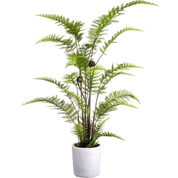 Fern - Leather Plant White Pot 38in - LQF230-GR