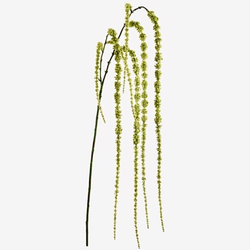 Amaranthus - Hanging Blossom Kiwi Green 58in - FSA058-GR