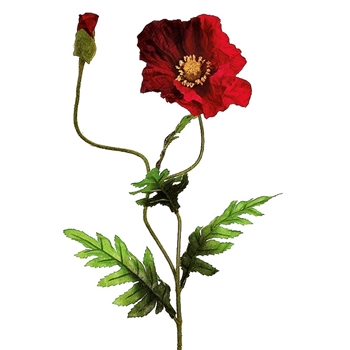 Poppy - Bud & Bloom Red 28in  - GTP103-RE/BC