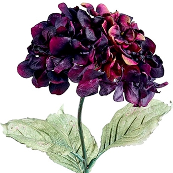 Hydrangea - Bloom Vintage Dried Aubergine 29in - FSH029-PL