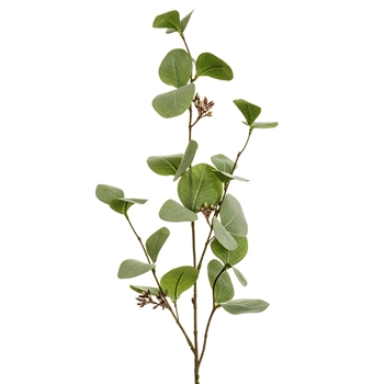 Eucalyptus - Seeded Spray Sage Green 30in - PSE030-GR/GY