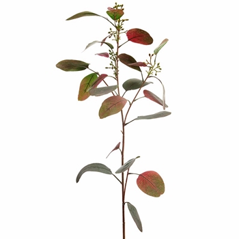 Eucalyptus - Seeded Spray Sage Terra 33in PSE031-GR