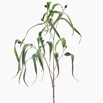 Eucalyptus - Seeded Long Leaf Sage Green 45in - PSE336-GR