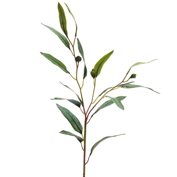 Eucalyptus - Seeded Long Leaf Sage Green 29in - PSE290-GR