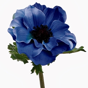 Anemone - Blue/Black 15in - GTA012-BL