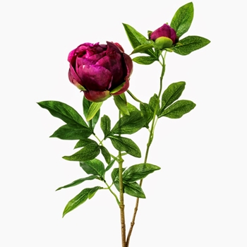 Peony - Classic Budding 26in Orchid - FSP102-PU