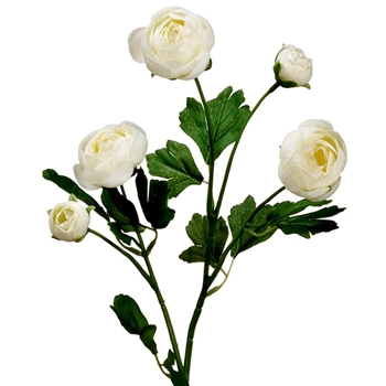 Ranunculus - Cutting White 20in - FSR291-WH