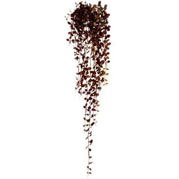 Fern - Button Leaf Hanging Burgundy 39in - PBB331-EP/GR