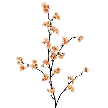 Blossom - Quince Peach 36in - FSB166-AP/PE