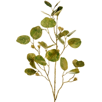 Eucalyptus - Gilded Verdigris  Leaf Branch 33in - XIS385-GR/GO