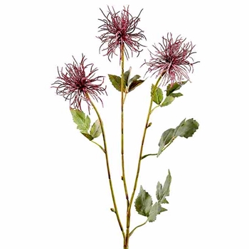 Clematis - Seed Spray Plum 31in - FSC730-PU/MF