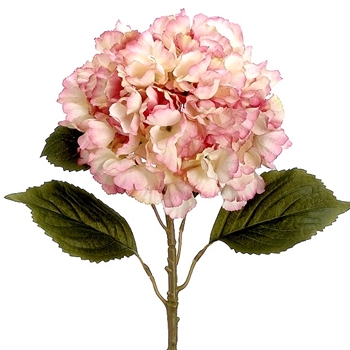 Hydrangea - Pink/Cream 26in - FSH211-RO/CR