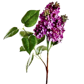Lilac - Leafy Purple 4 Budding Blooms 26in - FSL200-VI