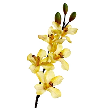 Orchid - Cymbidium 25in Yellow - GTO297-MD/BU