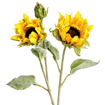 Sunflower - Windy 2 Blooms 1 Bud Yellow - FSS017-YE