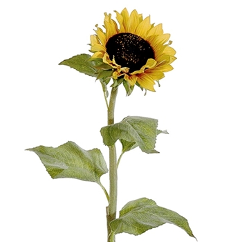 Sunflower - Field Stalk Single 31in Yellow - HSS914-YE/GO