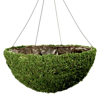 Preserved Moss Bowl Planter Hanging - 20W/10H - Indoor & Outdoor