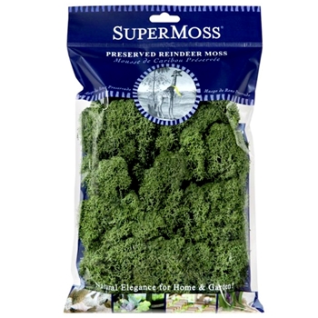 Moss Preserved - Reindeer Basil 4OZ  80.75 Cubic Inches