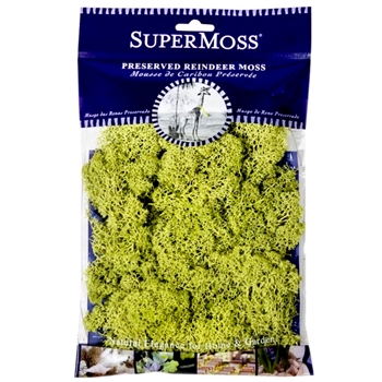 Moss Preserved - Reindeer Chartreuse 4OZ - 80.75 Cubic Inches
