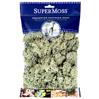 Moss Preserved - Reindeer Moss 4OZ - 80.75 Cubic Inches