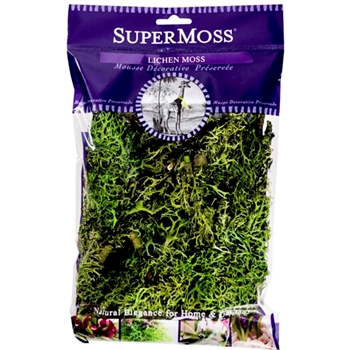 Moss Preserved - Lichen Green 4OZ