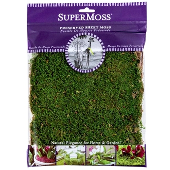 Moss Preserved - Sheet Moss Natural Green 4OZ  80.75 Cubic Inches